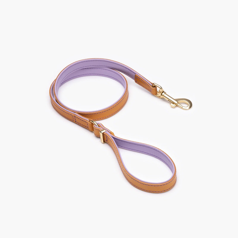 EzyDog Oxford Leather Dog Lead Blonde and Lilac 42inch-Habitat Pet Supplies