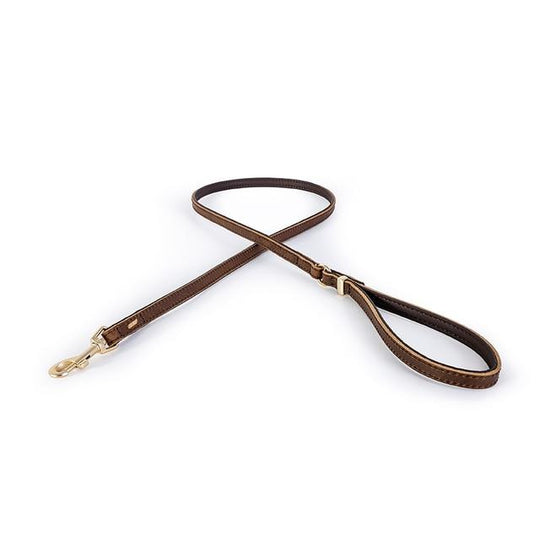 EzyDog Oxford Leather Lite Lead for Small Dogs Brown