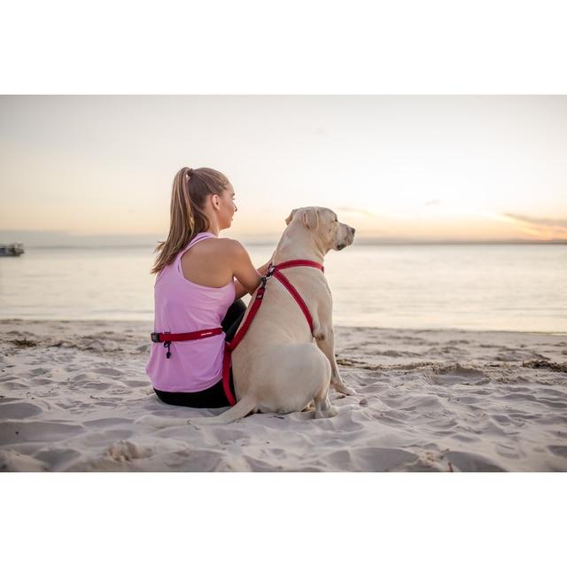EzyDog Road Runner Dog Lead Red