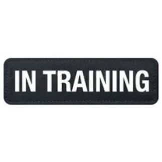 EzyDog Side Patch Label In Training for Saddle Bags, Convert and Express Harness Large *!*!*-Habitat Pet Supplies