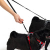 EzyDog Soft Touch Adjustable Coupler Black 35-60cm *!*!*