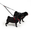 EzyDog Soft Touch Adjustable Lite Coupler Black 35-60cm *!*!*