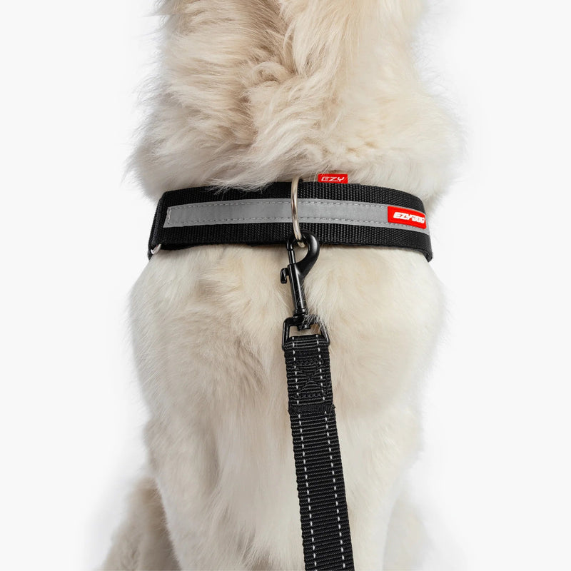 EzyDog Upfront D Ring Accessory for Convert and Express Harness 38mm *!*!*