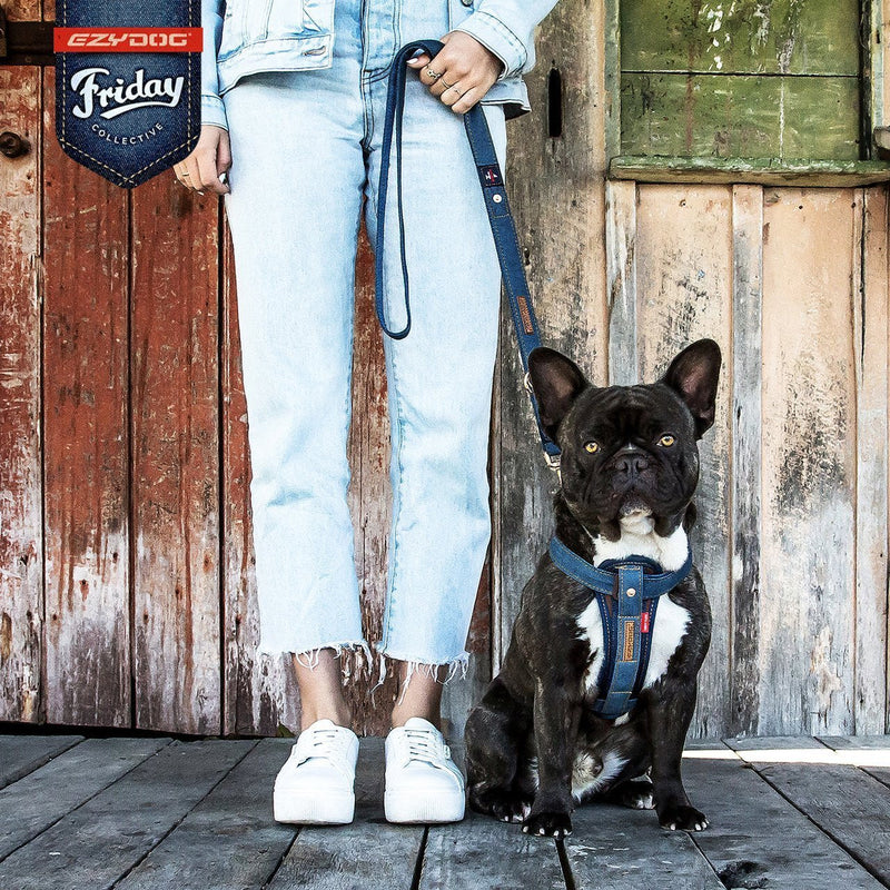 EzyDog Vario 4 Dog Lead Denim