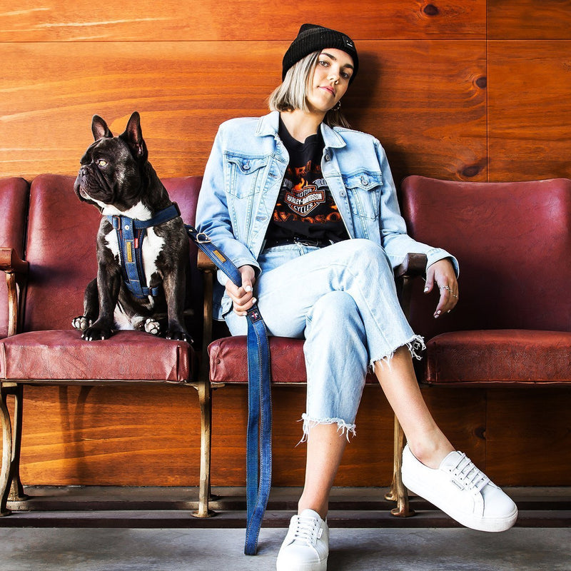 EzyDog Vario 4 Dog Lead Denim