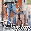 EzyDog Vario 4 Dog Lead Denim