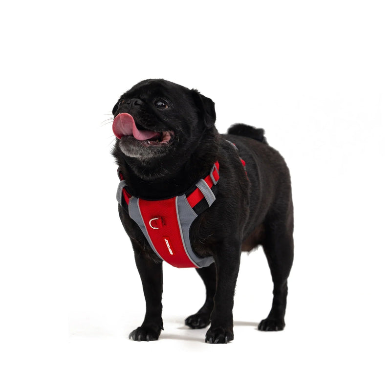 EzyDog X Link Black Dog Harness Extra Small
