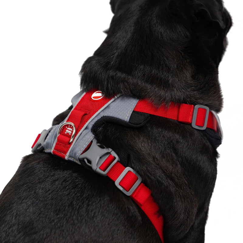 EzyDog X Link Black Dog Harness Extra Small