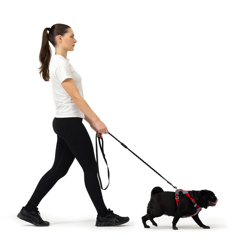 EzyDog X Link Black Dog Harness Extra Small