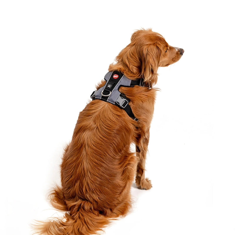 EzyDog X Link Black Dog Harness Extra Small