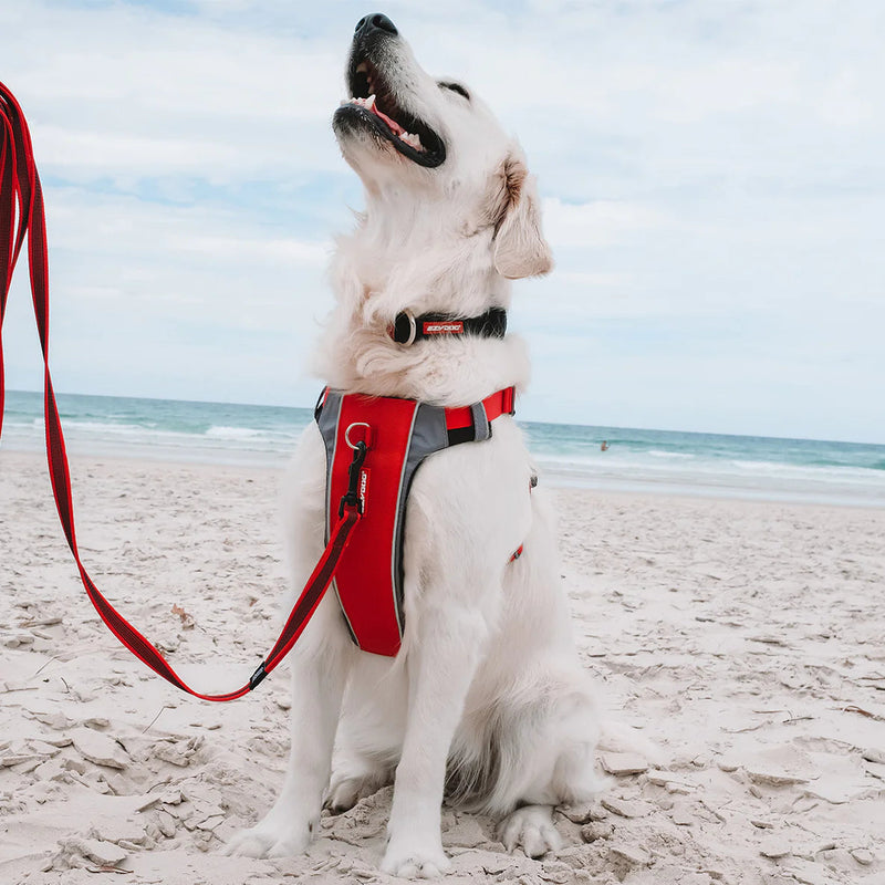 EzyDog X Link Black Dog Harness Extra Small