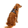 EzyDog X Link Black Dog Harness Large *!*!*