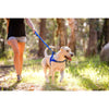 EzyDog Zero Shock Dog Lead Black Large 48inch