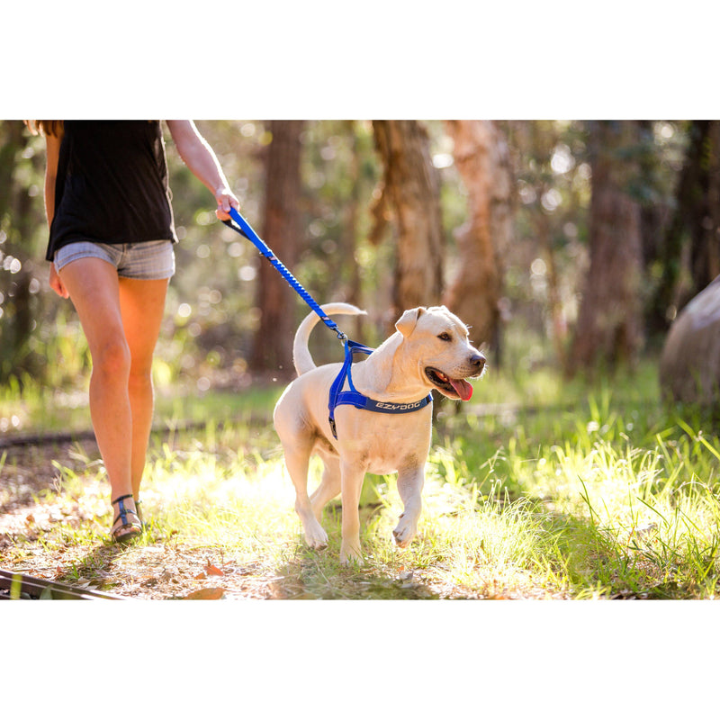 EzyDog Zero Shock Dog Lead Black Large 48inch