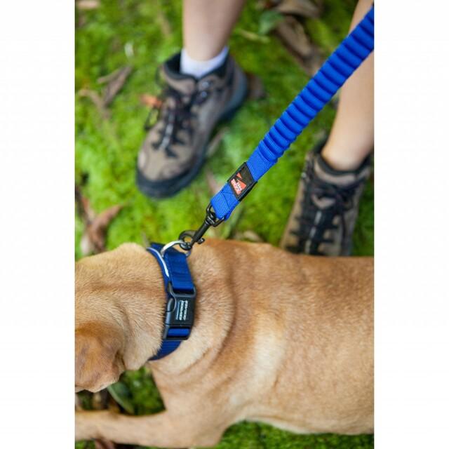 EzyDog Zero Shock Dog Lead Blue Large 48inch