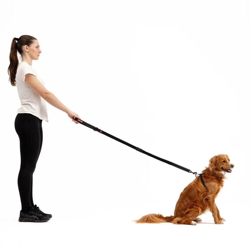EzyDog Zero Shock Dog Lead Pink Large 48inch