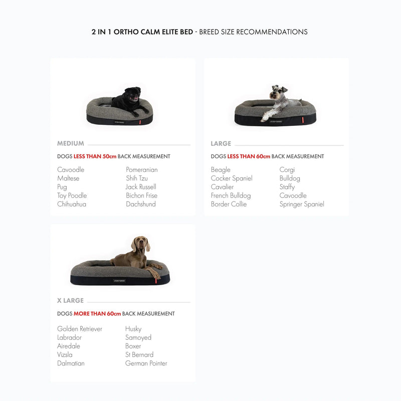 Ezydog 2in1 Ortho Gel Elite Dog Bed Medium (+_+)