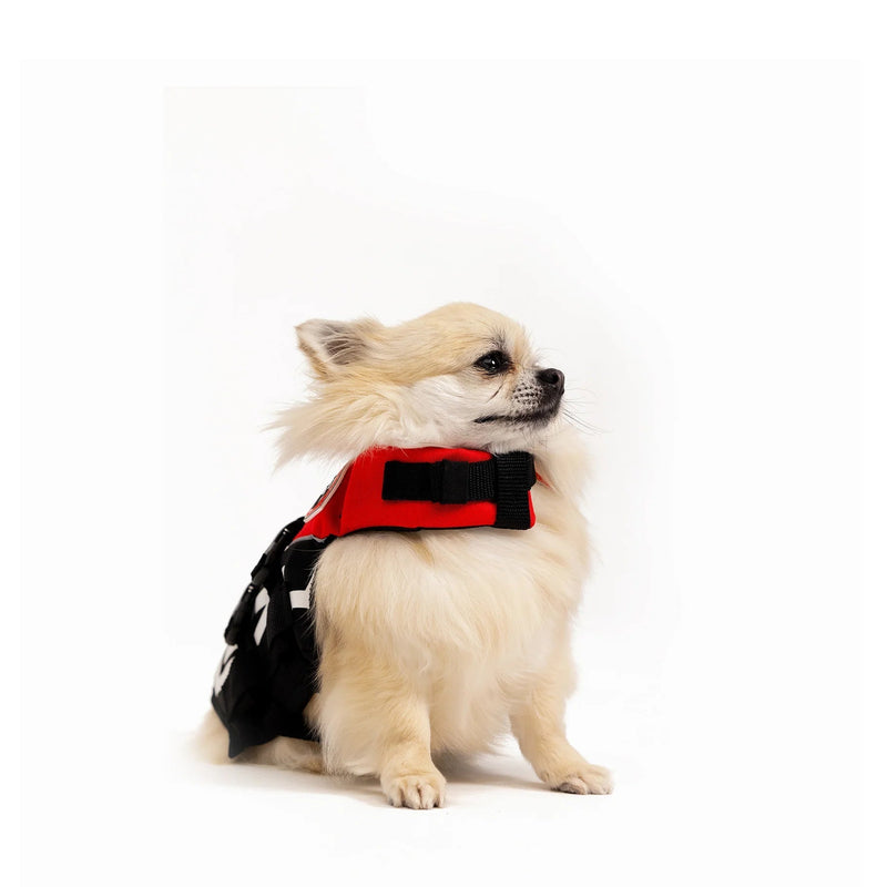 Ezydog Essential Chest Plate Harness XS Blue