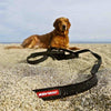 Ezydog Track N Train Dog Leash 19 Red