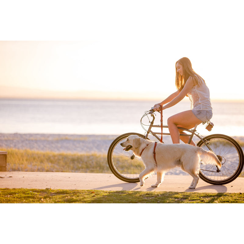 Ezydog Zero Shock Dog Leash 48 Red