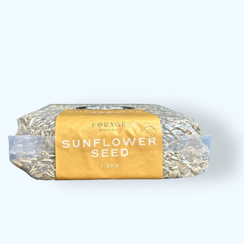 Forage Everyday Sunflower Seed 1.3kg