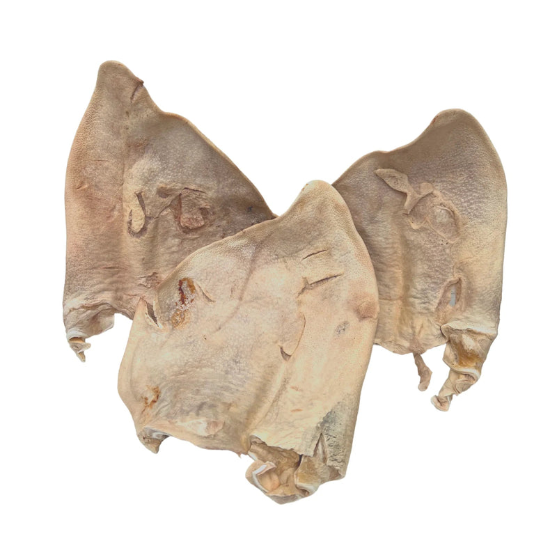 Freezy Paws Freeze Dried Pig Ear Jumbo Dog Treats 3 Pack (+_+)