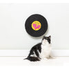 FuzzYard Cat Record Scratcher Catty B