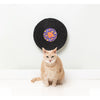FuzzYard Cat Record Scratcher Caturday Night Fever-Habitat Pet Supplies