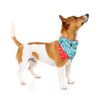 FuzzYard Christmas Fa La La La Mingo Dog Bandana Small to Medium***
