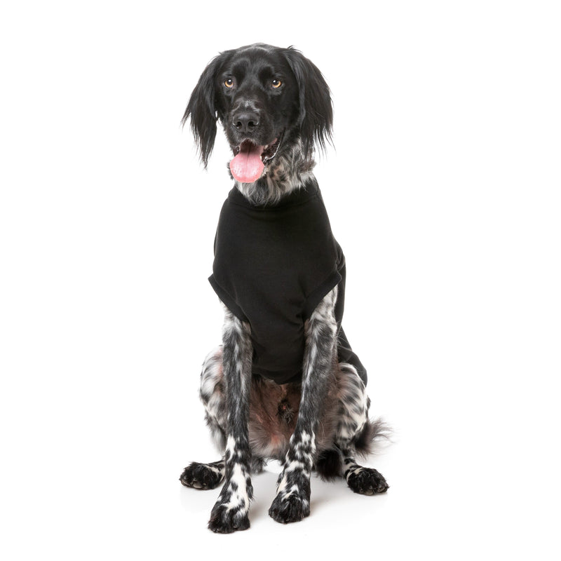 FuzzYard Dog Apparel Allday Sweater Black Size 1