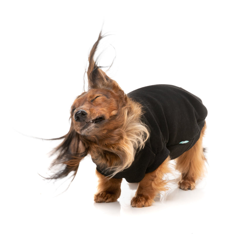 FuzzYard Dog Apparel Allday Sweater Black Size 3