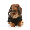 FuzzYard Dog Apparel Allday Sweater Black Size 4
