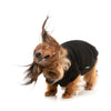 FuzzYard Dog Apparel Allday Sweater Black Size 5