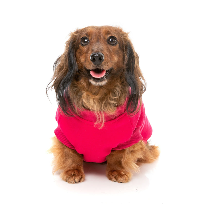 FuzzYard Dog Apparel Allday Sweater Magenta Size 3-Habitat Pet Supplies