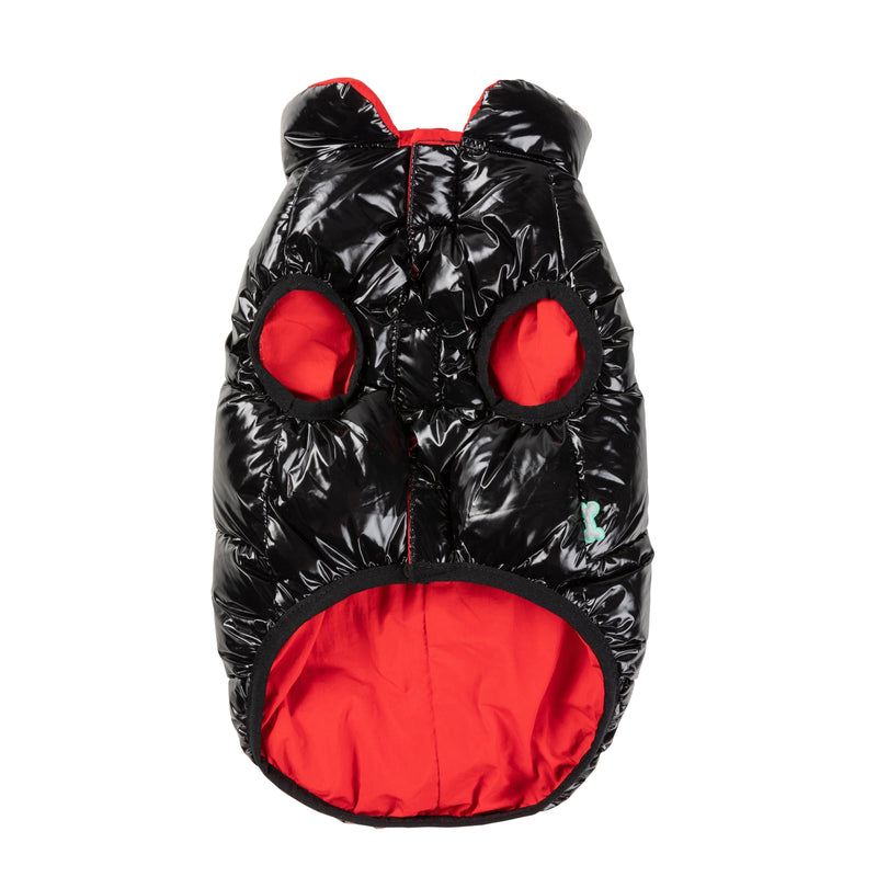 FuzzYard Dog Apparel Amor Puffer Jacket Black and Red Size 1