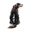 FuzzYard Dog Apparel Amor Puffer Jacket Black and Red Size 5