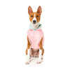 FuzzYard Dog Apparel Amor Puffer Jacket Bubblegum Pink and Mint Size 2