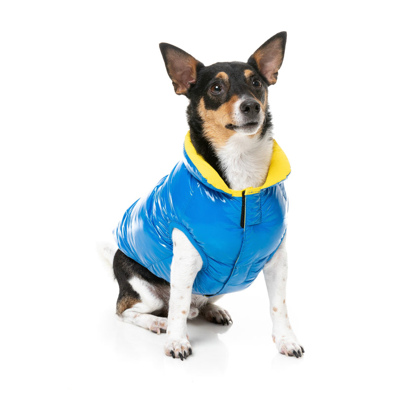 FuzzYard Dog Apparel Amor Puffer Jacket Cobalt Blue and Yellow Size 5