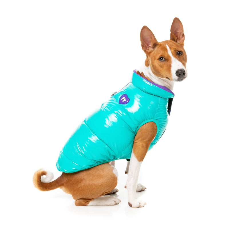 FuzzYard Dog Apparel Amor Puffer Jacket Turquoise and Purple Size 5