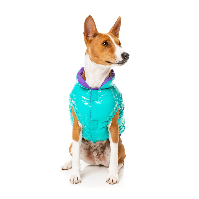 FuzzYard Dog Apparel Amor Puffer Jacket Turquoise and Purple Size 5