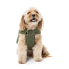 FuzzYard Dog Apparel Bomber Jacket Khaki Green Size 4