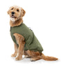 FuzzYard Dog Apparel Bomber Jacket Khaki Green Size 7