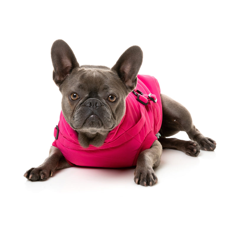 FuzzYard Dog Apparel Flash Jacket with Inbuilt Harness Magenta Size 1