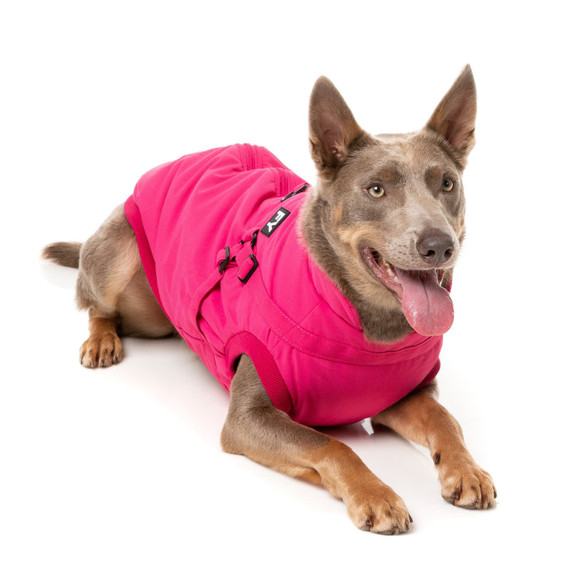 FuzzYard Dog Apparel Flash Jacket with Inbuilt Harness Magenta Size 3