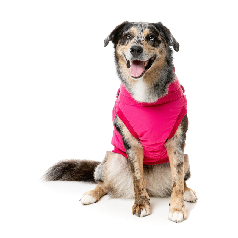 FuzzYard Dog Apparel Flash Jacket with Inbuilt Harness Magenta Size 3