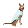 FuzzYard Dog Apparel Flipside Raincoat Mint and Grey Size 1