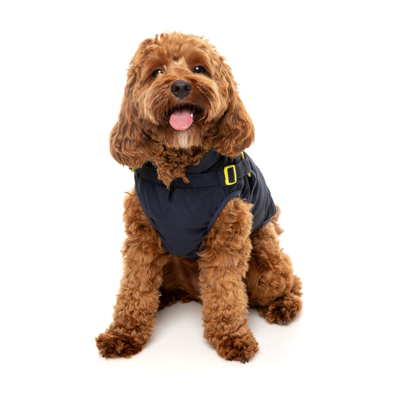 FuzzYard Dog Apparel Harness Jacket Horizon Navy Size 5 ^+^