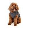 FuzzYard Dog Apparel Harness Jacket Reflective Flash Size 3 ^+^
