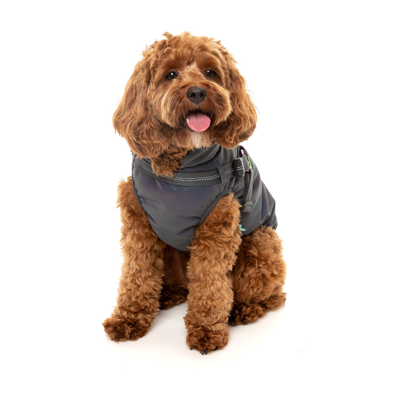 FuzzYard Dog Apparel Harness Jacket Reflective Flash Size 3 ^+^
