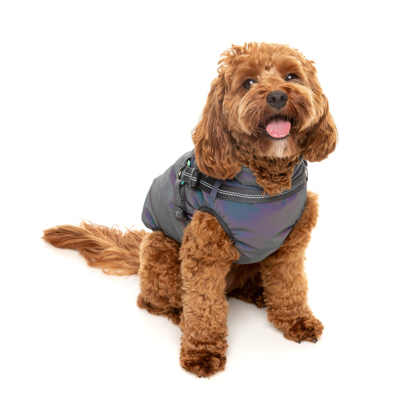 FuzzYard Dog Apparel Harness Jacket Reflective Flash Size 3 ^+^